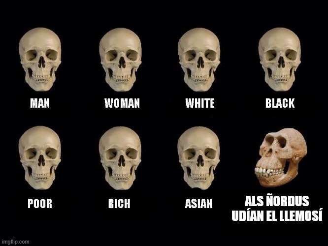 media