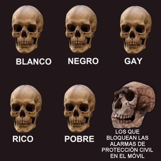 media