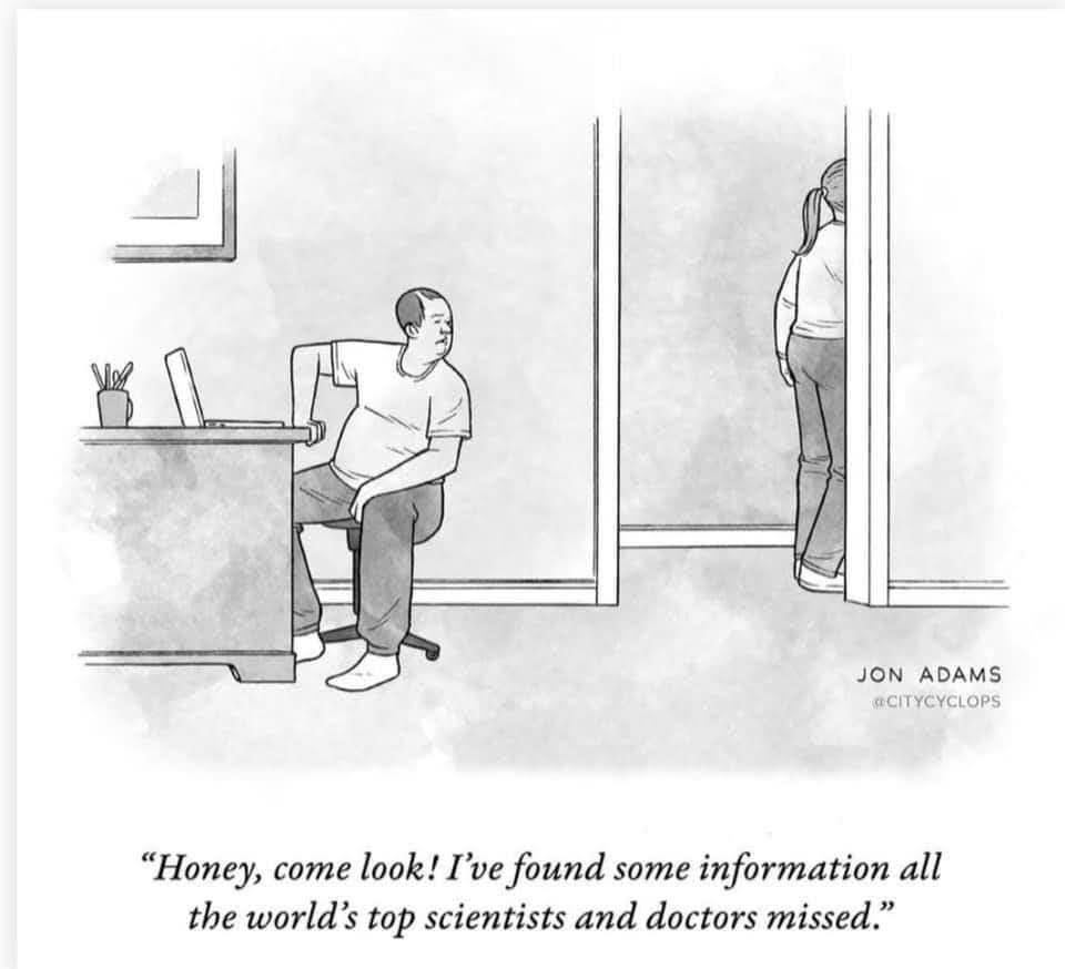 media