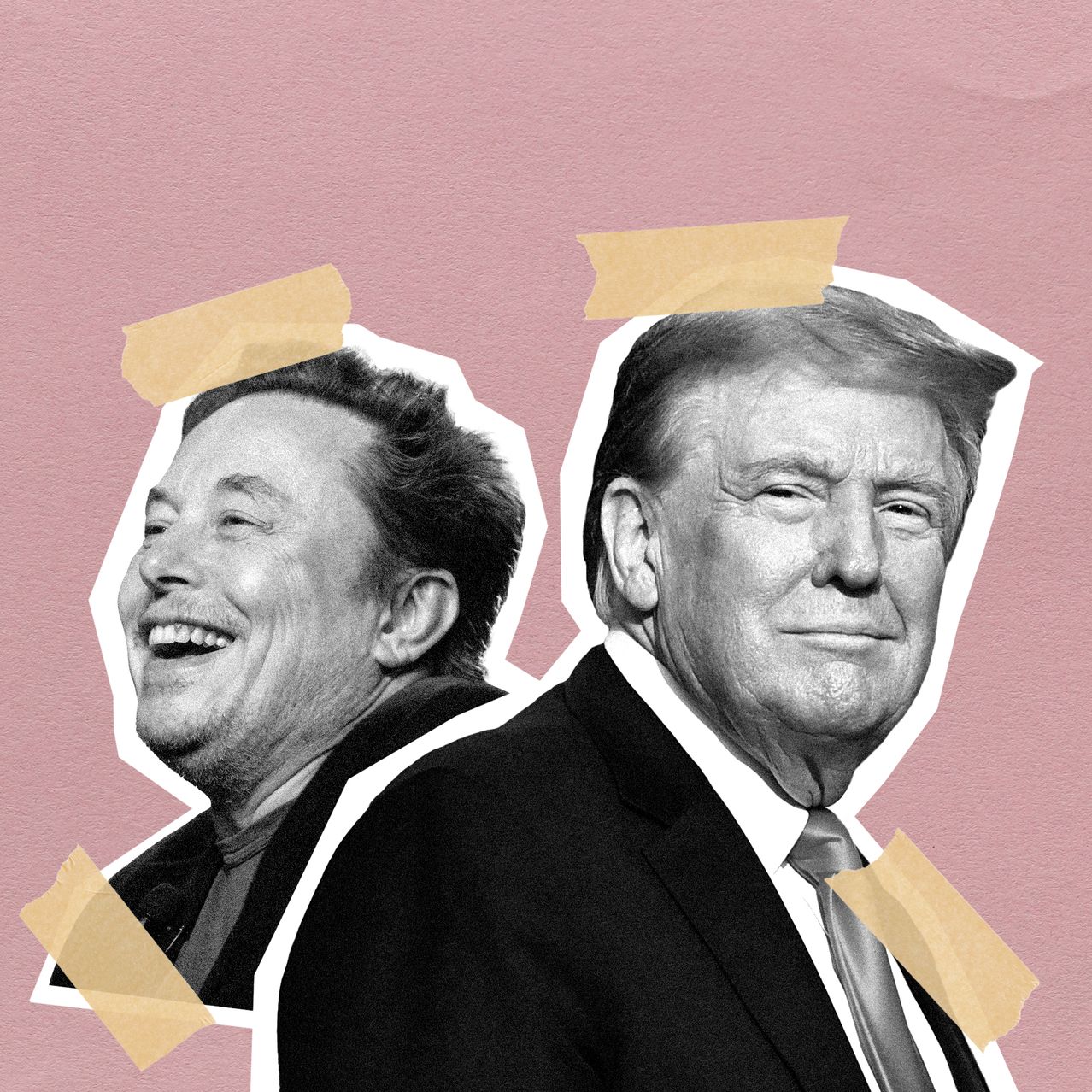 media