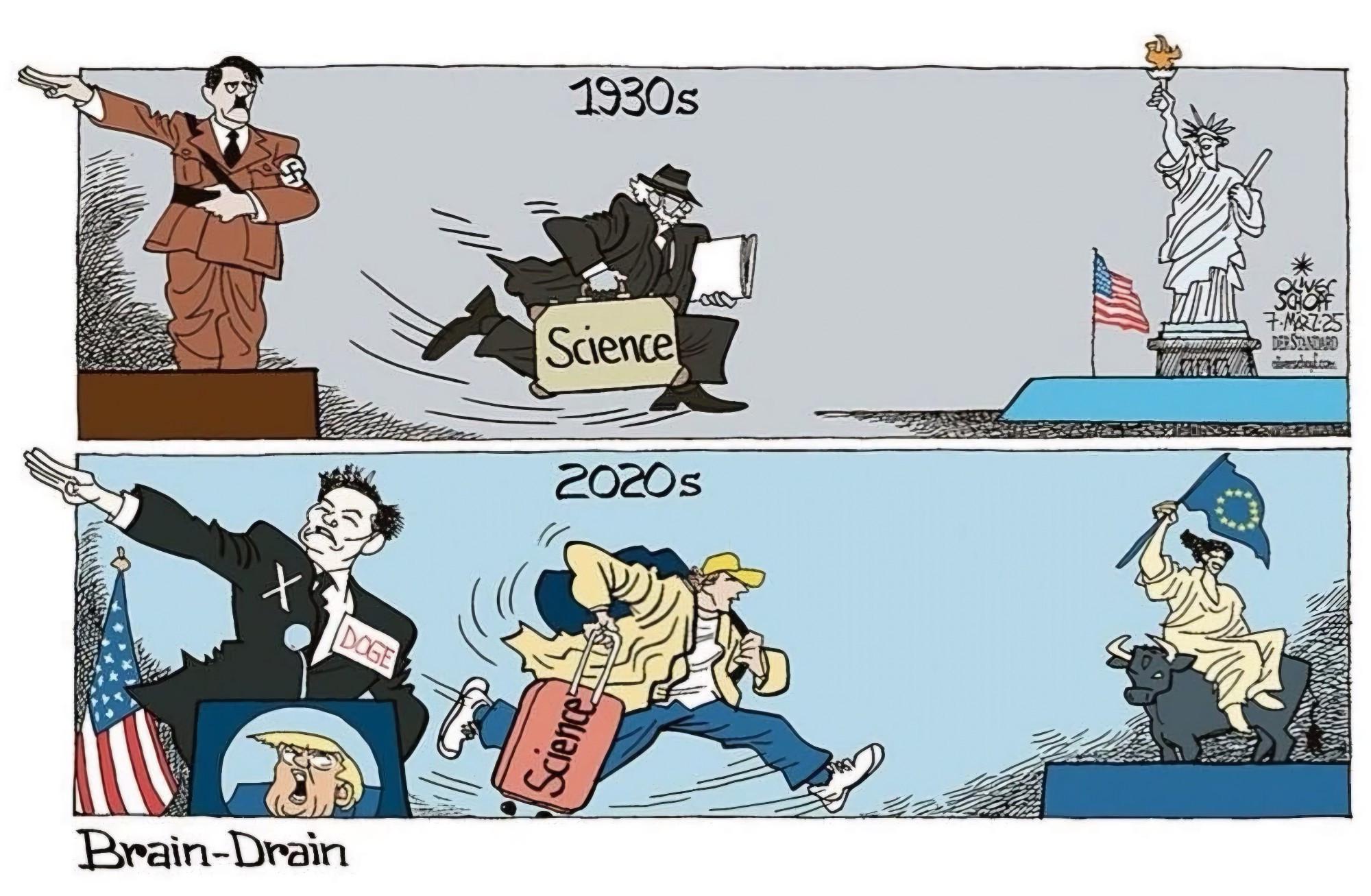 media