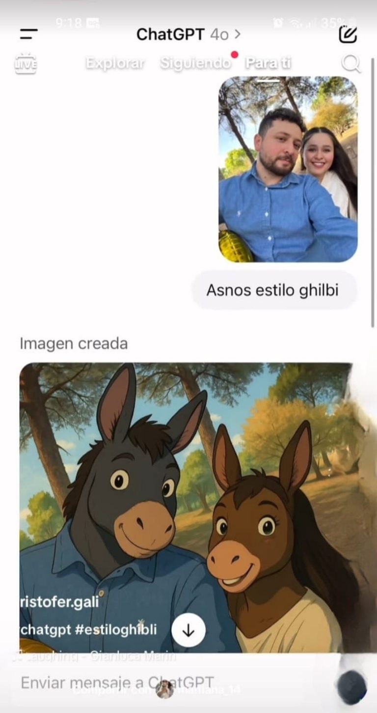 media