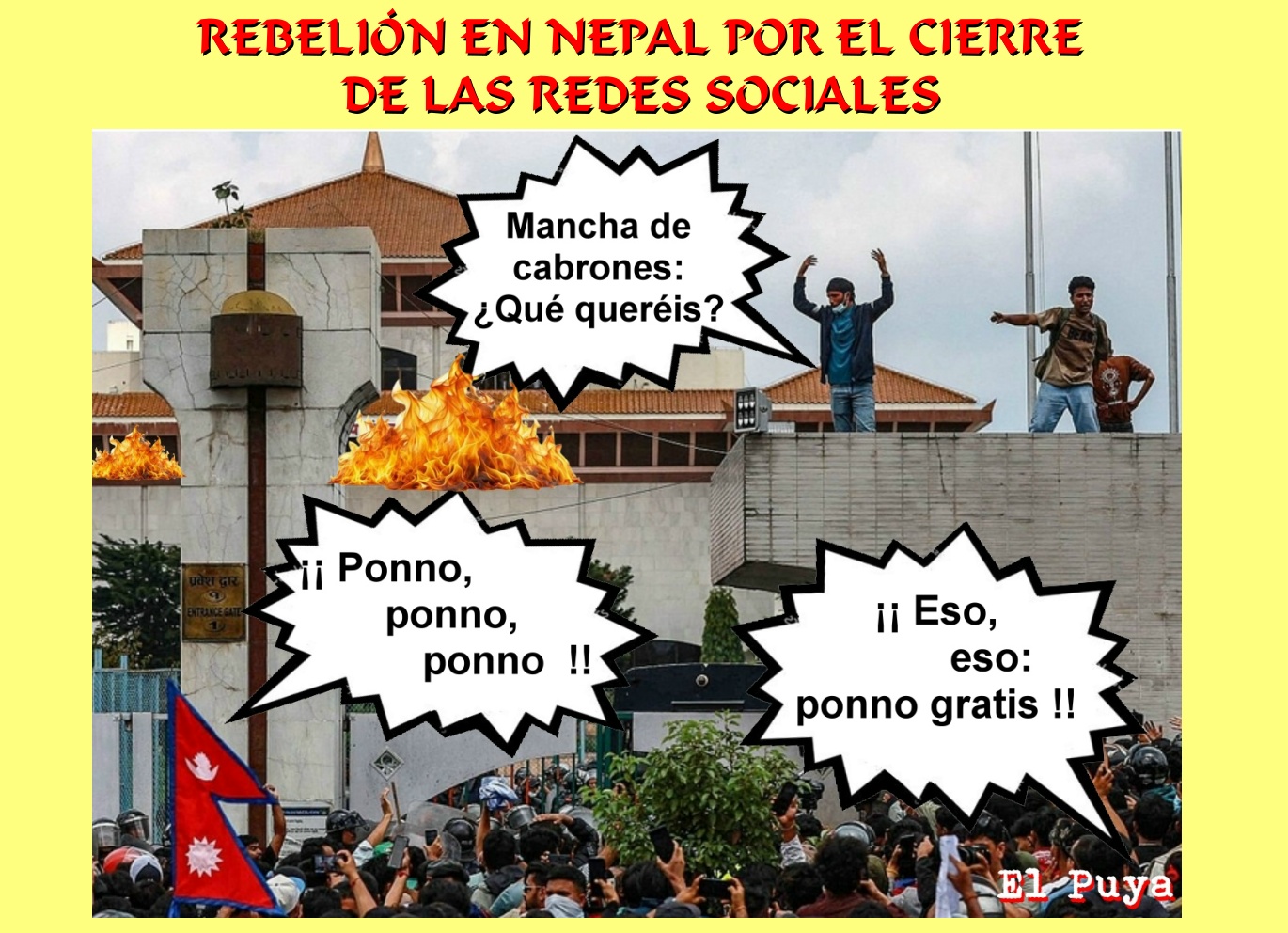 media