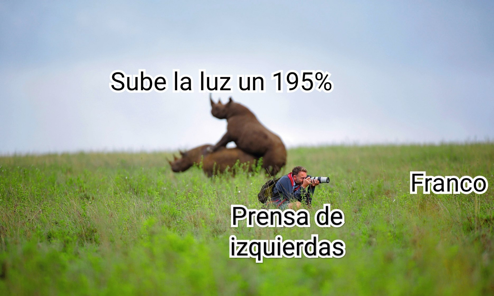 media