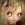 AnarXy_XoX