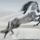 UnbiddnHorse