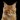 TheGinger007