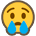 {0x1f622}